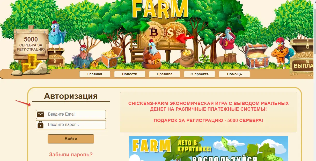 Игра с выводом Chikens-Farm